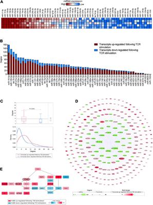 CD4+ T-Cell Activation Prompts Suppressive Function by Extracellular Vesicle-Associated MicroRNAs